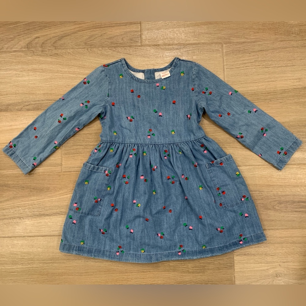 Hanna Andersson Girls A-Line Dress